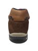LLOYD sportlicher Schnürer ENNO in Beige