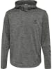 Hummel Hoodie Hmlaston Hoodie in DARK GREY MELANGE