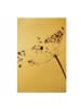 WALLART Leinwandbild Gold - Makroaufnahme Trockenblume im Schatten in Creme-Beige