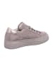 Gabor Comfort Sportliche Schnürschuhe in Grau
