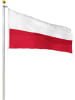 normani Fahne Flagge 300 cm × 500 cm in Polen