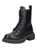 Steve Madden Stiefelette in Schwarz