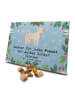 Mr. & Mrs. Panda Hunde Adventskalender Border Terrier Moment mit... in Eisblau
