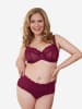 SugarShape BH LACE in bordeaux