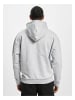 DEF DEF Kapuzenpullover in lightgrey