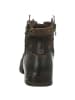 Replay Stiefeletten in braun