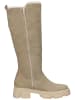 ILC Stiefel in Taupe