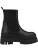 Steve Madden Chelsea Boots Cassandra in schwarz