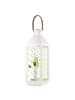 Mr. & Mrs. Panda Windlicht Avocado Tanzen ohne Spruch in Transparent
