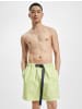 Tommy Hilfiger Shorts in faded lime