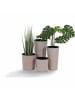 Siena Garden Pflanzgefäß LOCON GROOVE 25 cm Ø 25x46,5 cm in Creme/Schwarz in Creme/Schwarz