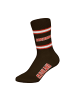 NFL Socken 3er Pack in Cleveland Browns