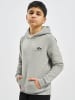 Alpha Industries Alpha Industries Hoodie in grey heather