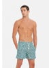 Gassa d’Amante Badeshorts Taormina in Grün-weiss