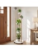 COSTWAY 6-stufig Blumenständer mit LED & Rollen 45 x 43 x 146,5 cm in Weiß