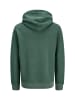 Jack & Jones Hoodie 'Aiden' in grün