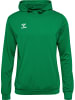 Hummel Kapuzenpullover Hmlauthentic Herren in JELLY BEAN