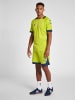 Hummel Hummel Kurze Hose Hmllead Fußball Herren Schnelltrocknend in LIME PUNCH