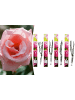 GARDENZO 4er-Set: Duftende großblumige Gartenrosen in Rosa