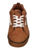 Vans Sneaker Low FILMORE SUEDE GUM in braun