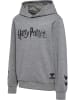 Hummel Hummel Hoodie Hmlharry Jungen Atmungsaktiv in MEDIUM MELANGE