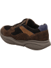 Xsensible Sneaker Low in braun