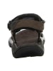 Teva Trekkingsandalen in Braun