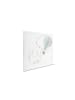 A.S. Création Leinwandbild Canvas Little Explorer Beige