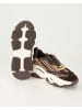 Steve Madden Sneaker low in Braun