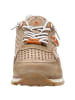 Cetti Sneaker Low in beige