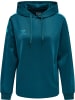Hummel Hoodie in Blau