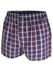 green panther Webboxershorts 6er Pack in Rot / Navy
