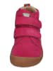 KOEL Sneaker High DAVID SUEDE in rosa