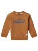 Noppies Langarmshirt Timberlane in Chipmunk