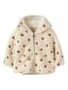 name it Jacke in Turtledove