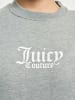 Juicy Couture Juicy Couture Hoodie in grey