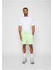 FUBU FUBU Sweat Shorts in light green