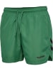 Hummel Badeshorts Hmlned Swim Shorts in FOLIAGE GREEN