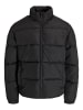 JACK & JONES PLUS Steppjacke in Black