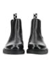 Steve Madden Stiefelette BRONN in Schwarz/Schwarz