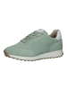 Mexx Sneaker in mint