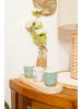 Today Tabletts Schmuckaufbewahrung Indie, Holz, 3er-Set in Beige