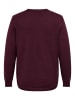 ONLY Carmakoma Strickpullover in Fig 1