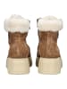 Nero Giardini Stiefelette Braun