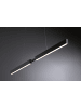 paulmann LED Pendelleuchte Smart Home Zigbee  RGBW+ dimmbar Schwarz