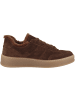 Gabor Sneaker low 6018.02 in braun