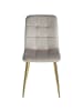 Homestyle4u Esszimmerstuhl 2er Set in Beige und Gold, Samt