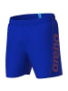 Arena Badehose FUNDATALS ARENA LOGO BOXER in Stein831