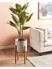 Beliani Indoor Blumentopf PINSAPO in Grau/Braun - (W) 30 x (H) 59 x (L) 30 cm