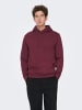 ONLY & SONS Kapuzenpullover in Port Royale